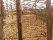 Satılır 6 sot torpaq Bülbülə