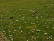 Satılır 600 sot torpaq Savalan