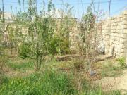 Satılır 250 sot torpaq Zabrat 2