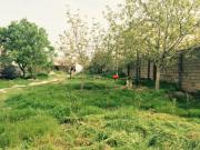 Satılır 6 sot torpaq Zabrat 1