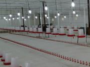 Satılır 0 otaqlı 0 m2 obyekt Siyəzən