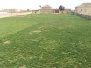 Satılır 32 sot torpaq Digah