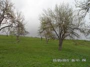 Satılır 130 sot torpaq Quba