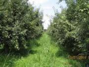 Satılır 130 sot torpaq Xaçmaz