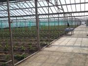 Satılır 350 sot torpaq Zirə