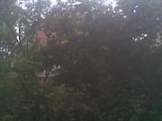 Satılır 9 sot torpaq Quba