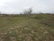 Satılır 900 sot torpaq Zabrat 1