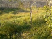 Satılır 6 sot torpaq Biləcəri