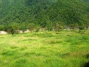 Satılır 40 sot torpaq Qax