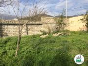 Satılır 230 sot torpaq Əhmədli