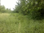 Satılır 12 sot torpaq Qusar