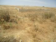 Satılır 300 sot torpaq Məhəmmədli