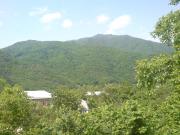 Satılır 7 sot torpaq Qax