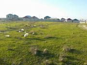 Satılır 30 sot torpaq Saray