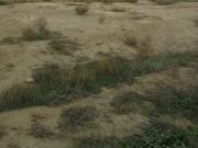 Satılır 3 sot torpaq Zabrat 2