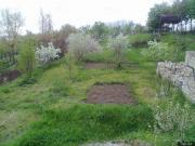 Satılır 7 sot torpaq Quba