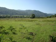 Satılır 69 sot torpaq Quba