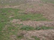 Satılır 3 otaqlı 110 m2 bağ evi Digah