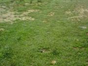 Satılır 3 sot torpaq Y.Ramana