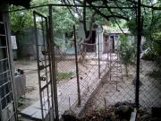 Satılır 500 sot torpaq Gənclik m.