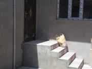 Satılır 2 otaqlı 75 m2 bağ evi Xırdalan