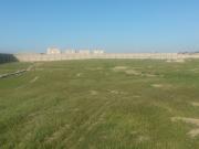 Satılır 80 sot torpaq Məhəmmədli