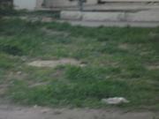 Satılır 45 sot torpaq Elmlər Akademiyası m.