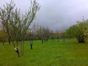 Satılır 5000 sot torpaq İsmayıllı