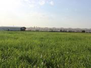 Satılır 0 otaqlı 0 m2 obyekt Şəmkir