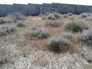 Satılır 10 sot torpaq Zirə