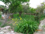 Satılır 700 sot torpaq Zabrat 2