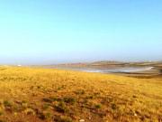 Satılır 1500 sot torpaq Novxanı