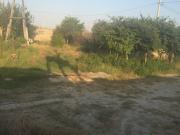 Satılır 16000 sot torpaq Məhəmmədli