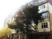 Satılır 2 otaqlı 47 m2 köhnə tikili 5 mkr