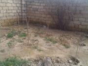 Satılır 0 sot torpaq Biləcəri