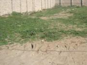 Satılır 10 sot torpaq Binə