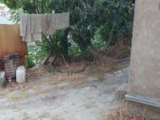 İcarəyə verilir 2 otaqlı 40 m2 bağ evi Qaraçuxur