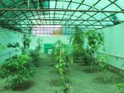 Satılır 7 otaqlı 350 m2 həyət evi Digah