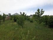 Satılır 4 otaqlı 100 m2 bağ evi Şamaxı