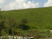 Satılır 12 sot torpaq Daşkəsən