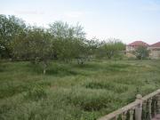 Satılır 5 sot torpaq Saray