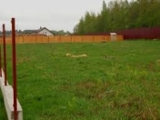 Satılır 650 sot torpaq Mehdiabad