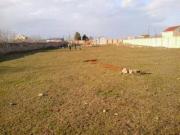 Satılır 20000 sot torpaq 28 May m.