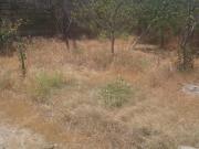 Satılır 2 sot torpaq Biləcəri