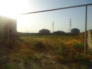 Satılır 600 sot torpaq Zabrat 2