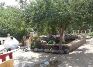 Satılır 8 otaqlı 200 m2 həyət evi Şüvəlan