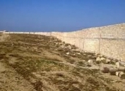 Satılır 67 sot torpaq Məhəmmədli