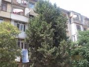 Satılır 2 otaqlı 75 m2 köhnə tikili Montin