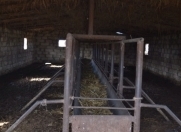 Satılır 0 otaqlı 18000 m2 obyekt Saatlı