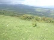 Satılır 12 sot torpaq Şamaxı